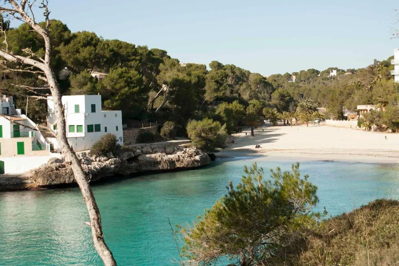 Chalets Torre Nova Santanyi Apartment